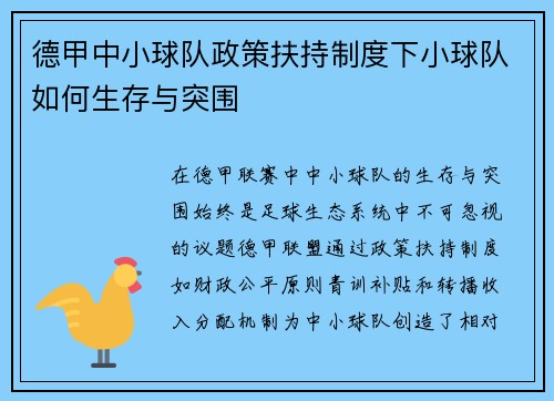 德甲中小球队政策扶持制度下小球队如何生存与突围